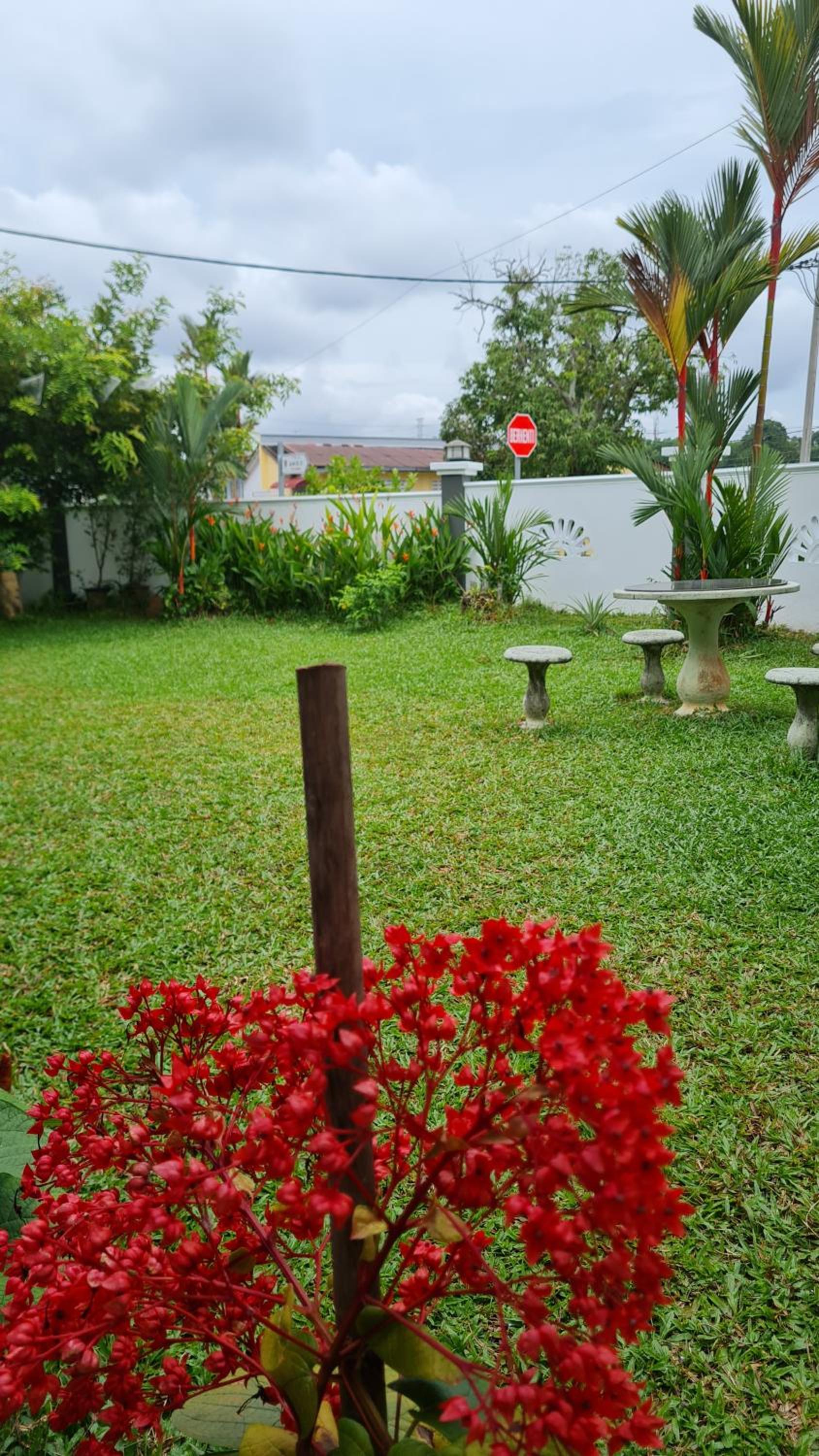 sharonhomestay