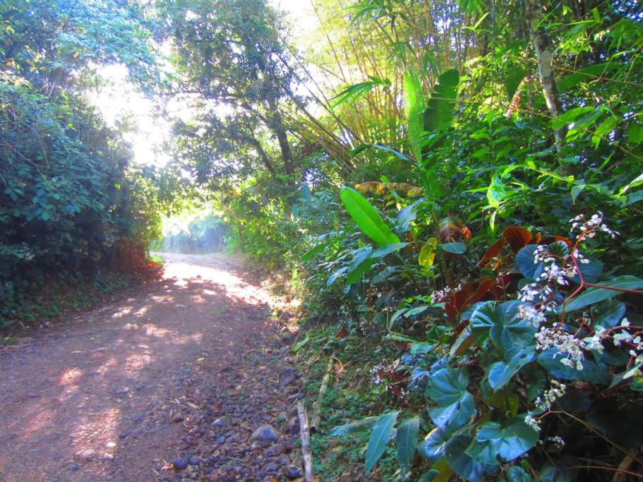 Bamboo Jungle Cabin 3 nights minimum stay