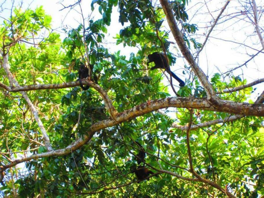 Bamboo Jungle Cabin 3 nights minimum stay