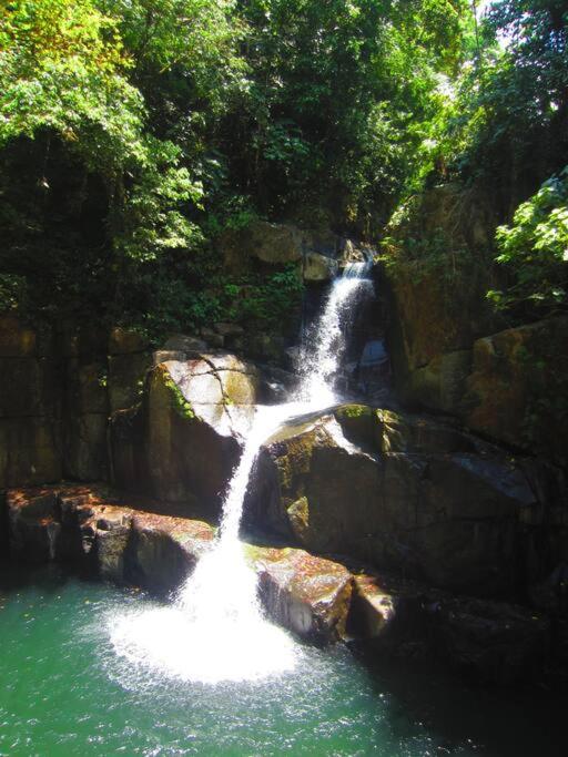 Bamboo Jungle Cabin 3 nights minimum stay