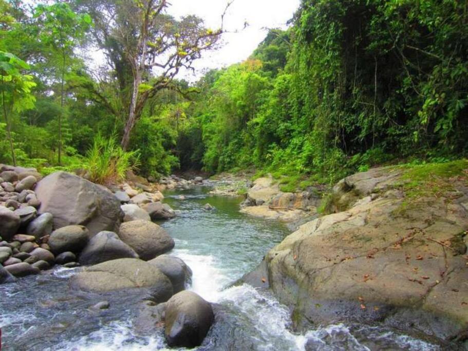 Bamboo Jungle Cabin 3 nights minimum stay