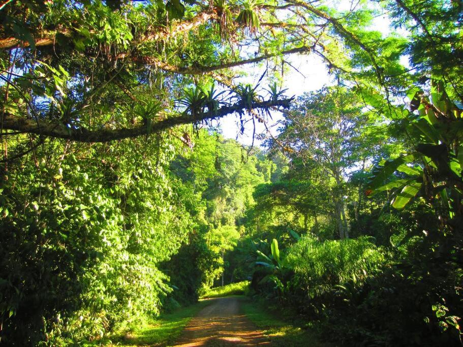 Bamboo Jungle Cabin 3 nights minimum stay