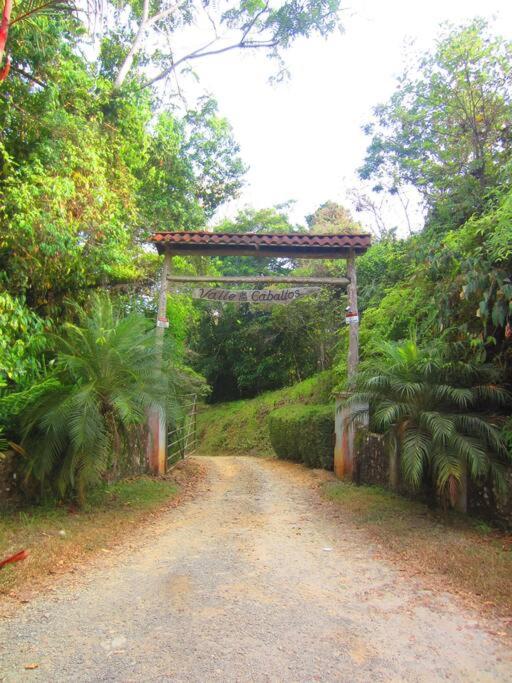 Bamboo Jungle Cabin 3 nights minimum stay