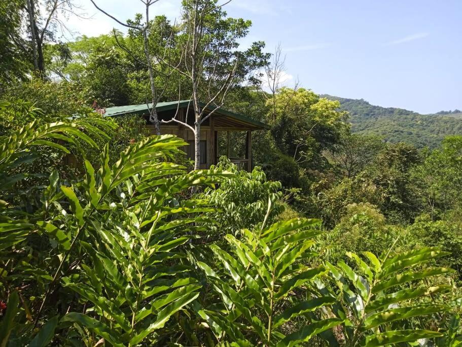 Bamboo Jungle Cabin 3 nights minimum stay