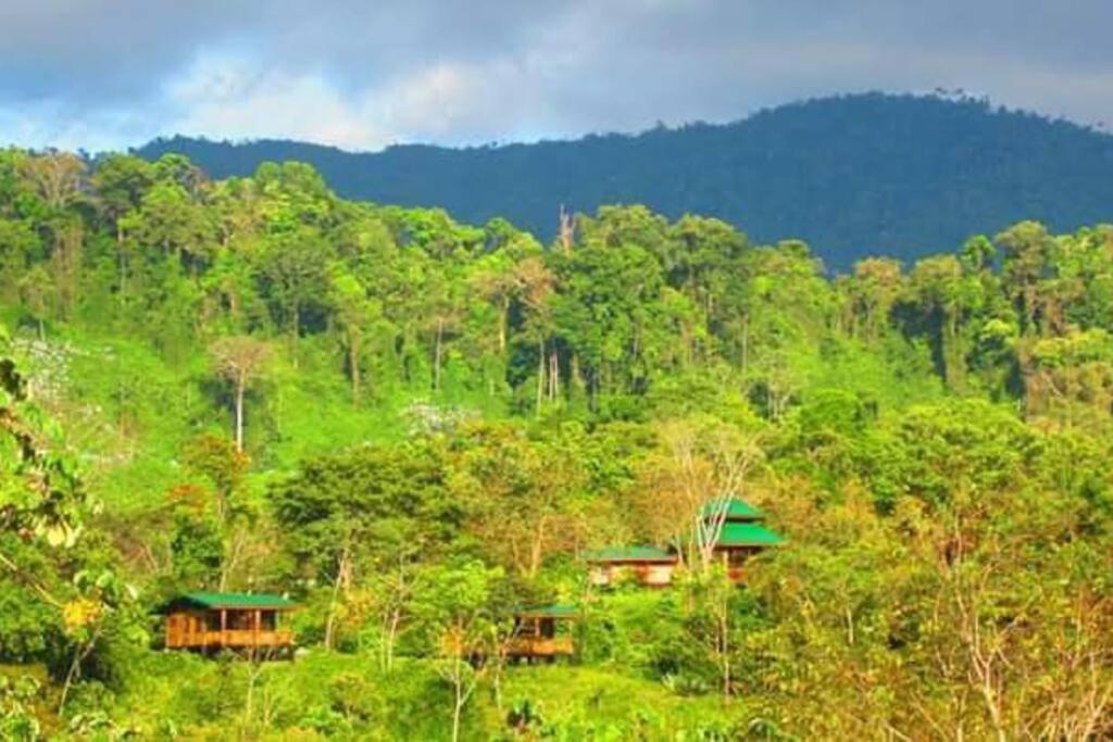 Bamboo Jungle Cabin 3 nights minimum stay