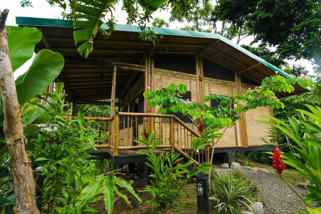Bamboo Jungle Cabin 3 nights minimum stay