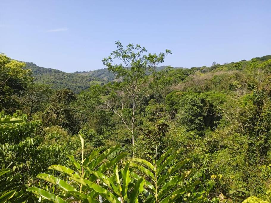 Bamboo Jungle Cabin 3 nights minimum stay