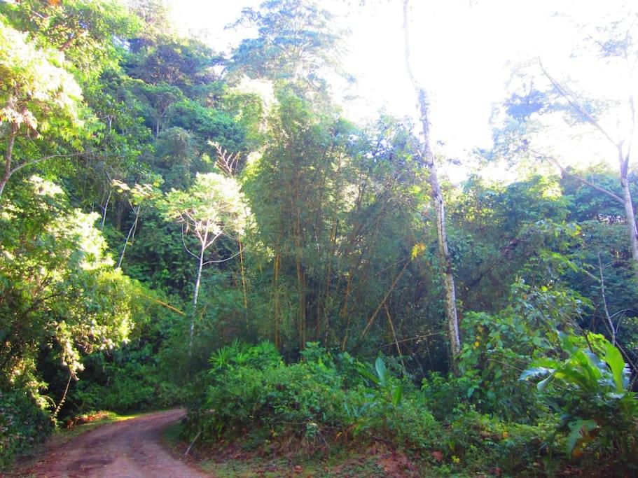 Bamboo Jungle Room 3 nights minimum stay