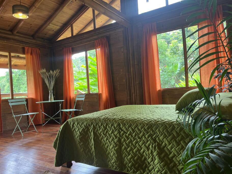 Bamboo Jungle Room 3 nights minimum stay