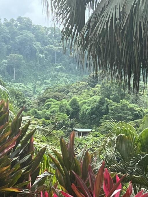 Bamboo Jungle Room 3 nights minimum stay