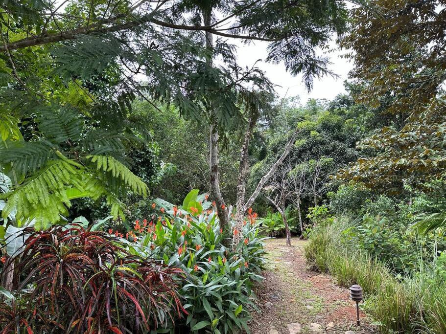 Bamboo Jungle Room 3 nights minimum stay