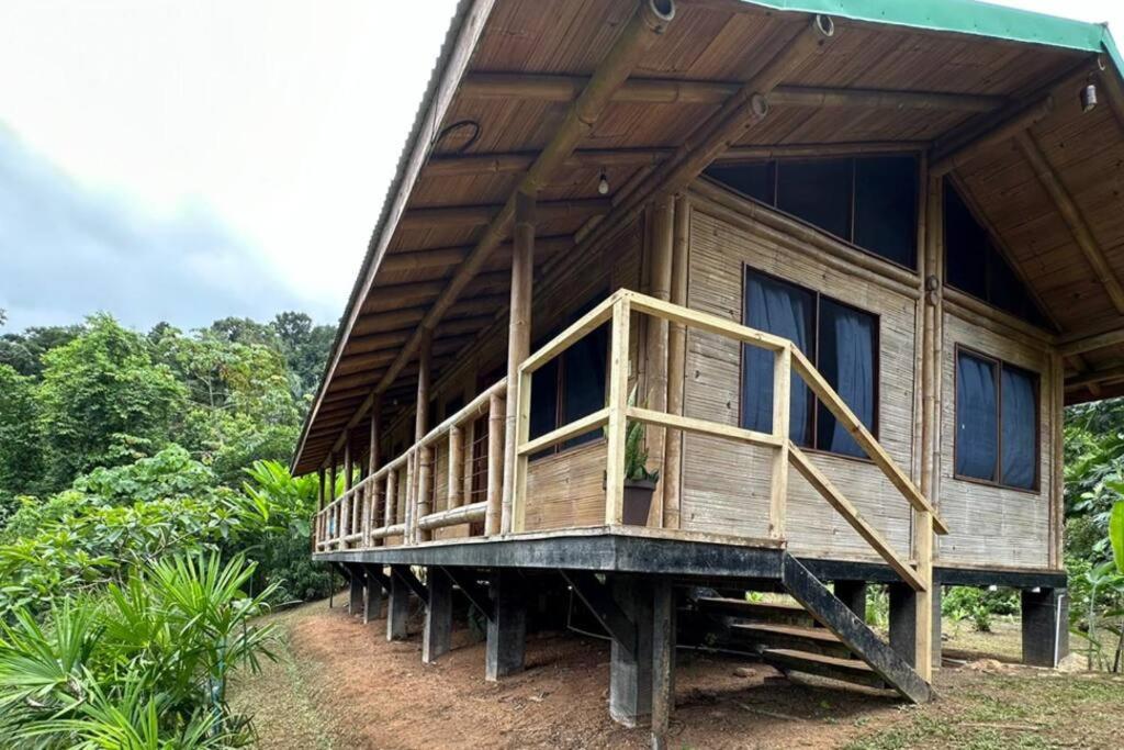 Bamboo Jungle Room 3 nights minimum stay