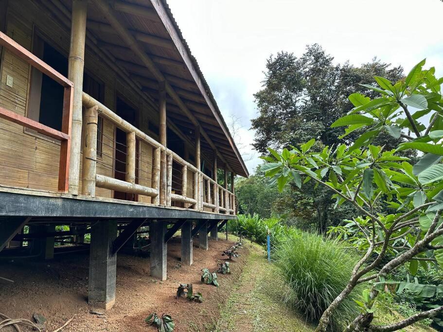 Bamboo Jungle Room 3 nights minimum stay