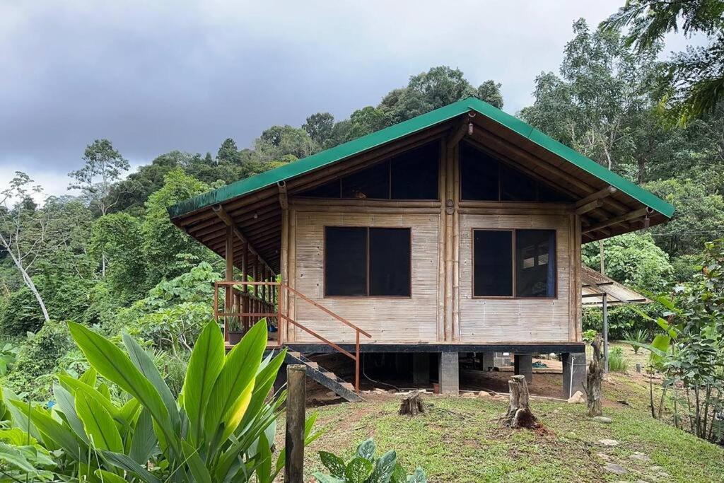 Bamboo Jungle Room 3 nights minimum stay