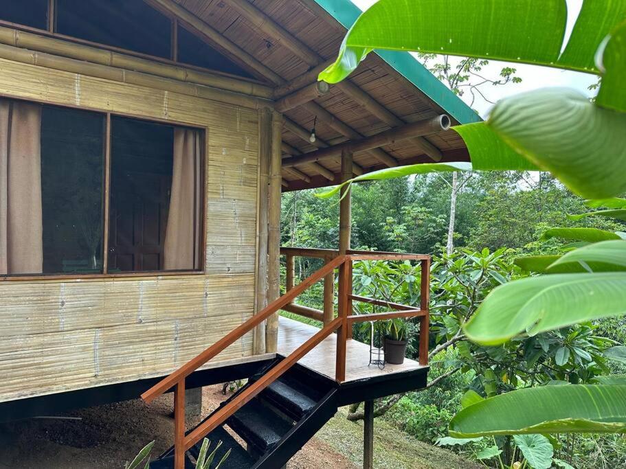 Bamboo Jungle Room 3 nights minimum stay