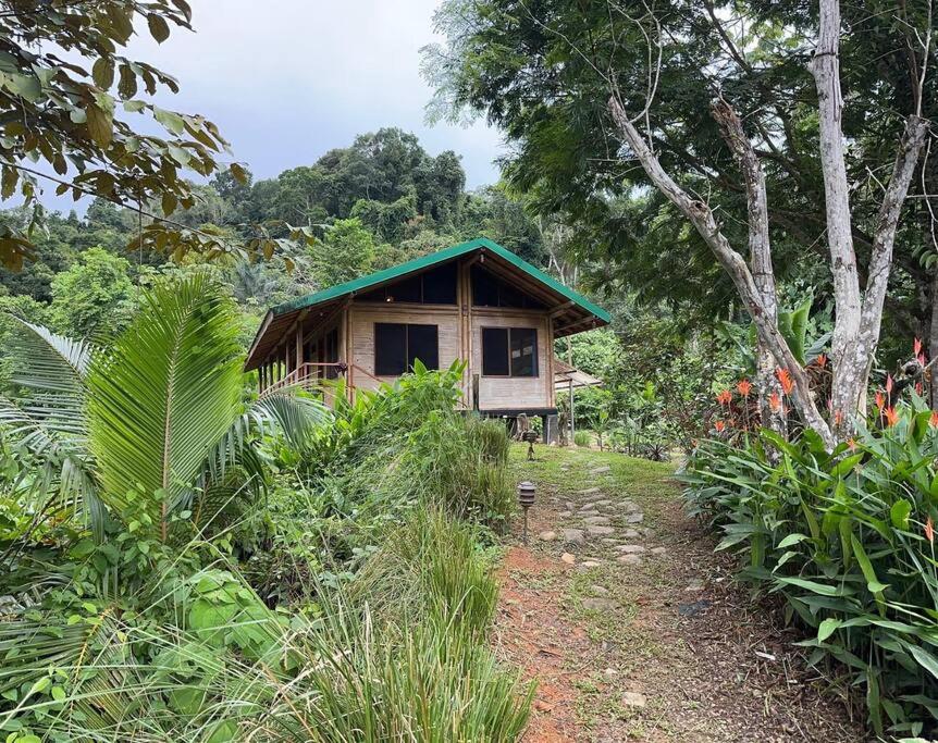 Bamboo Jungle Room 3 nights minimum stay