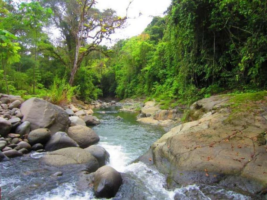 Bamboo Jungle Room 3 nights minimum stay