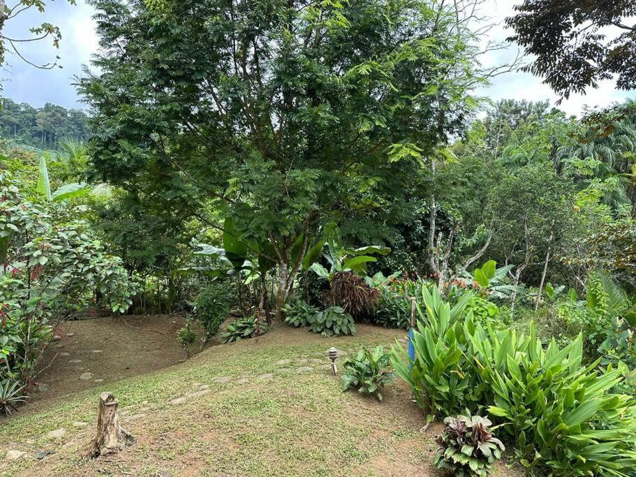 Bamboo Jungle Room 3 nights minimum stay