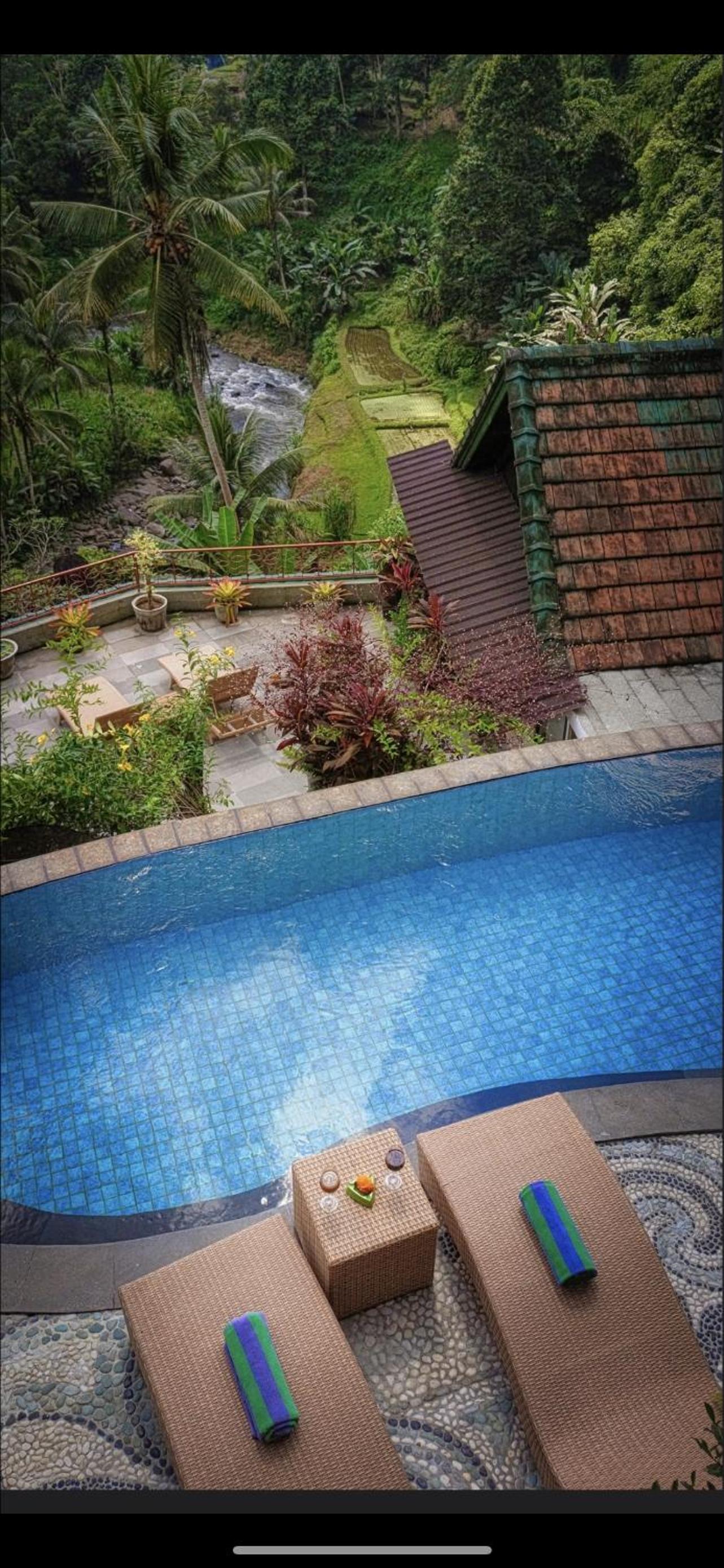 River Song Bali view 5