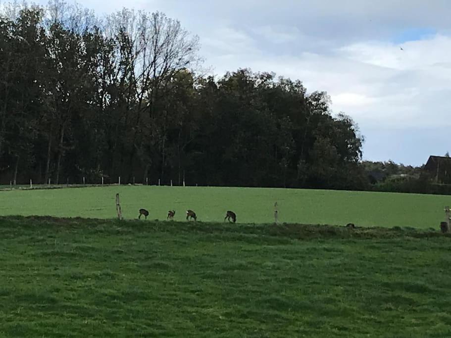 Lichtrijke woning aan het Muziekbos