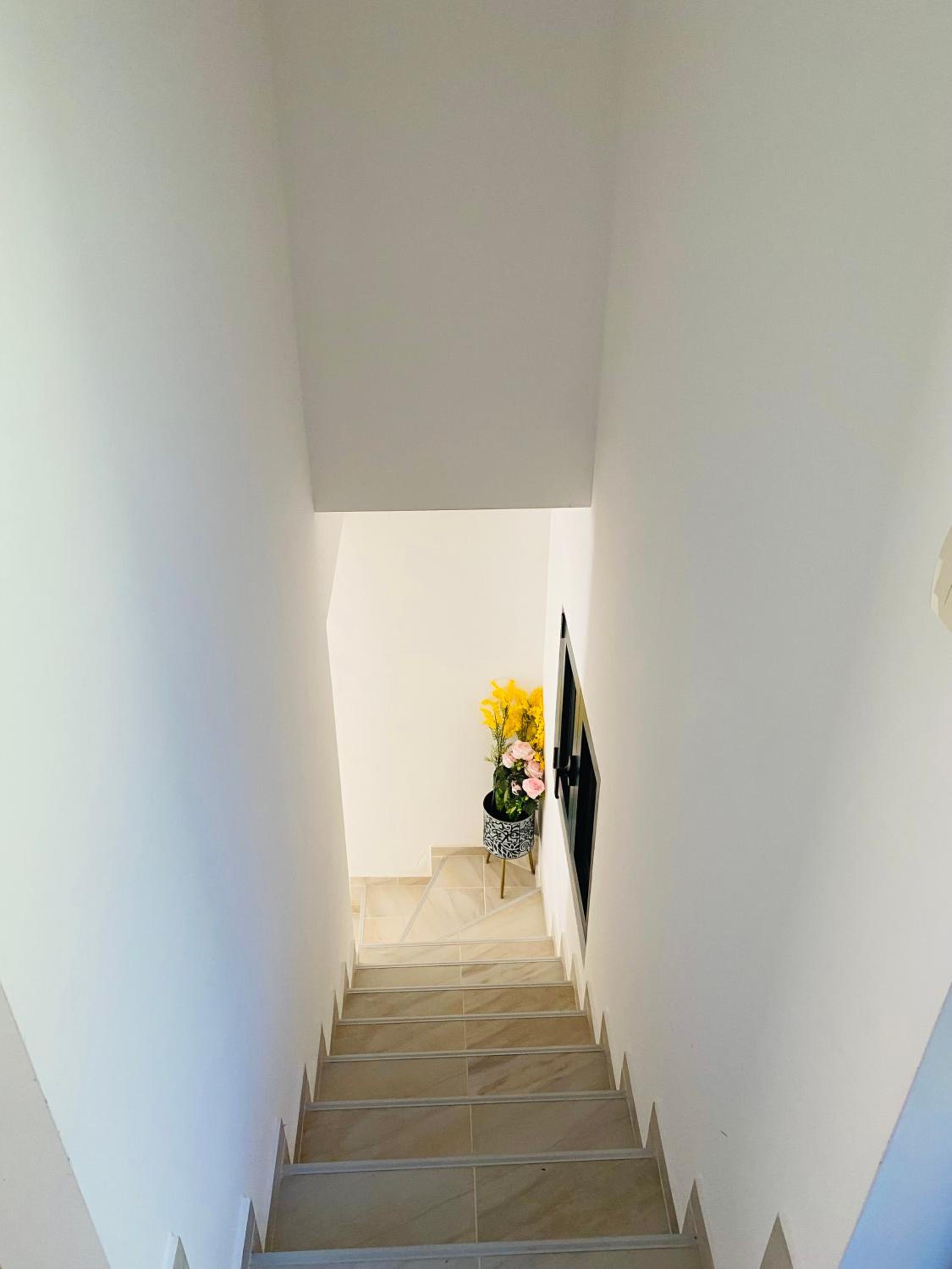 Casa Behar