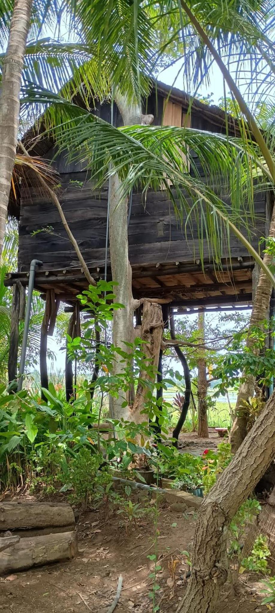 Lotus View Cabana