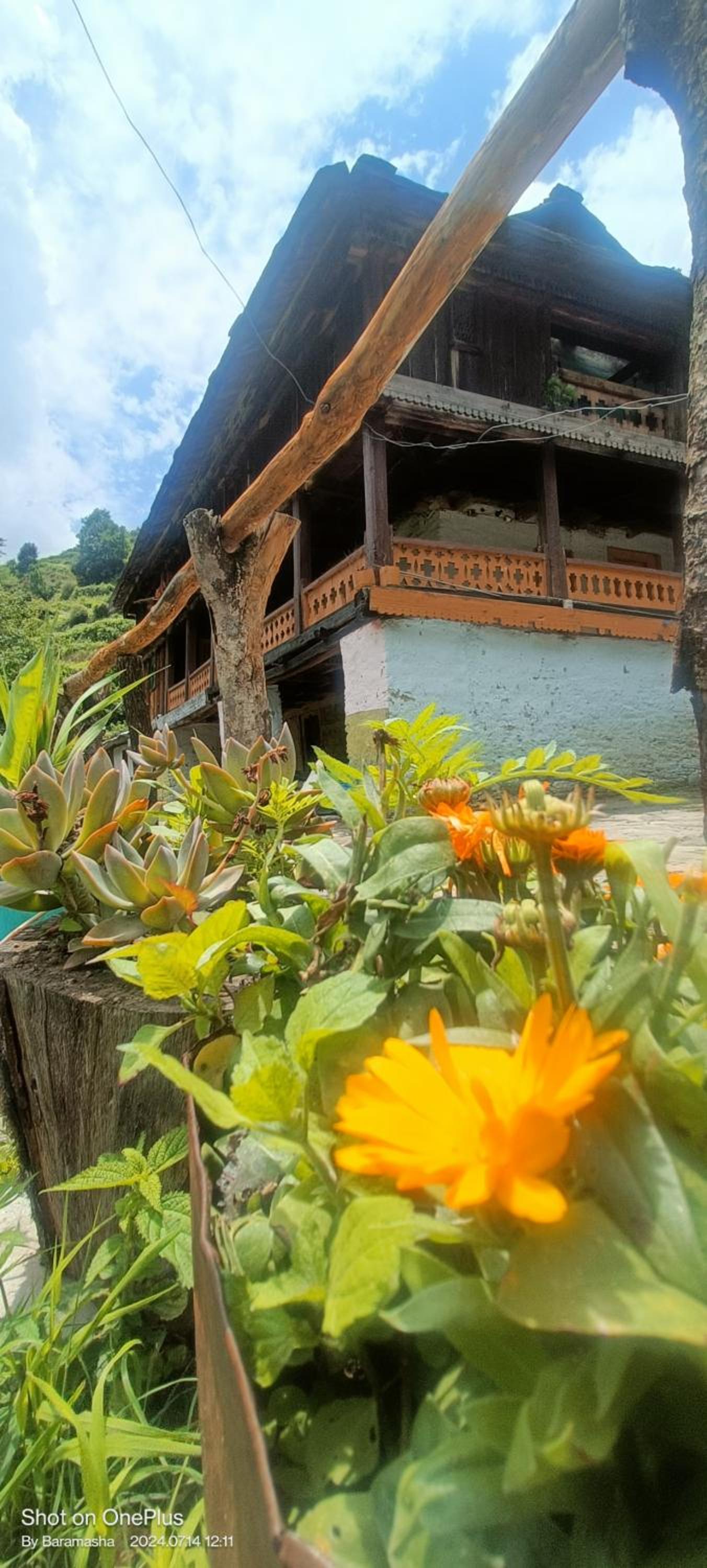 Baramasha Vintage Home view 3