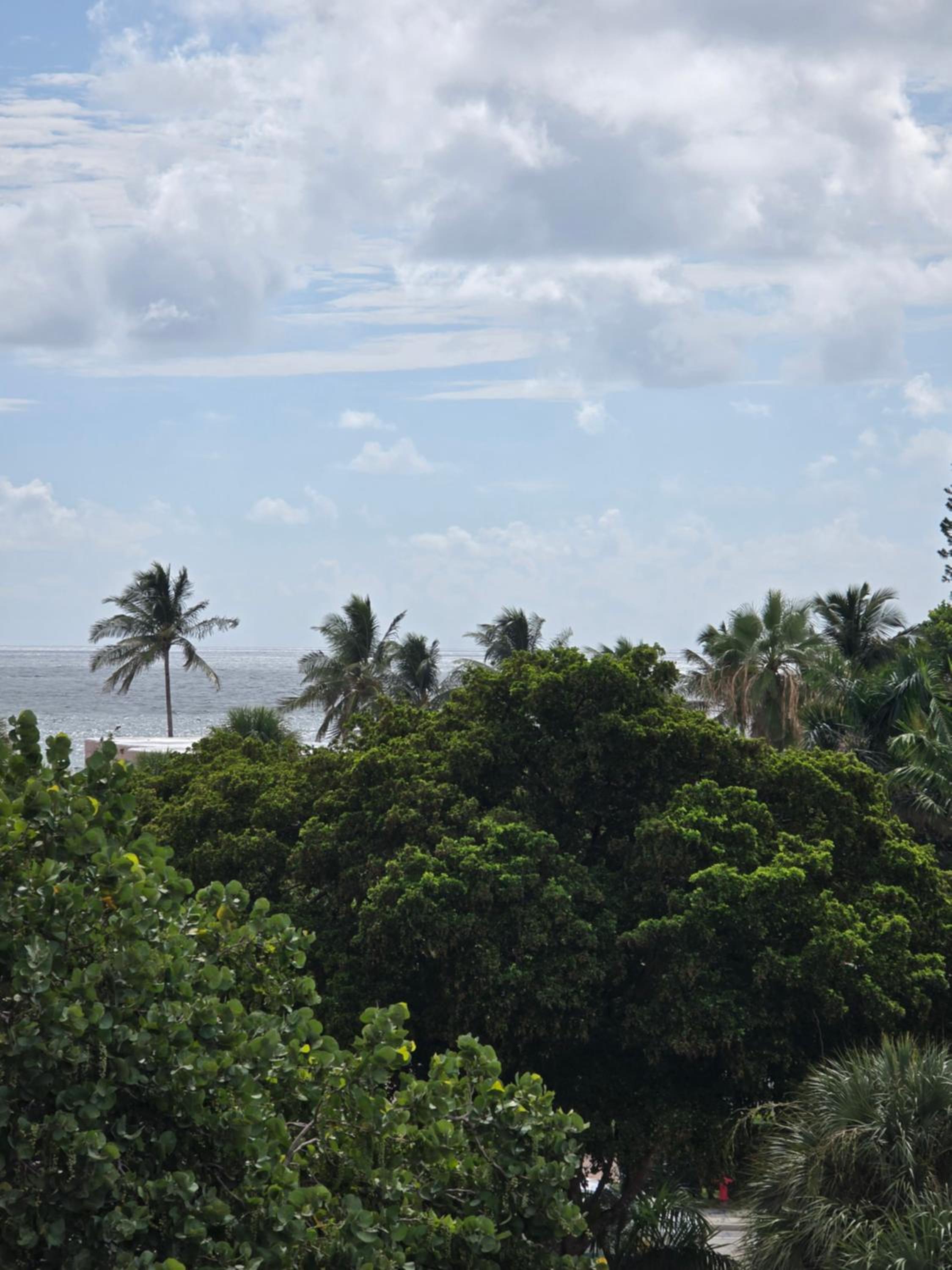 Luxury Beach Access Oasis view 5