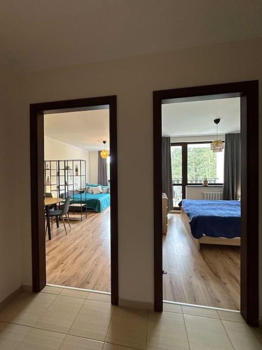 large apartment in Borovets