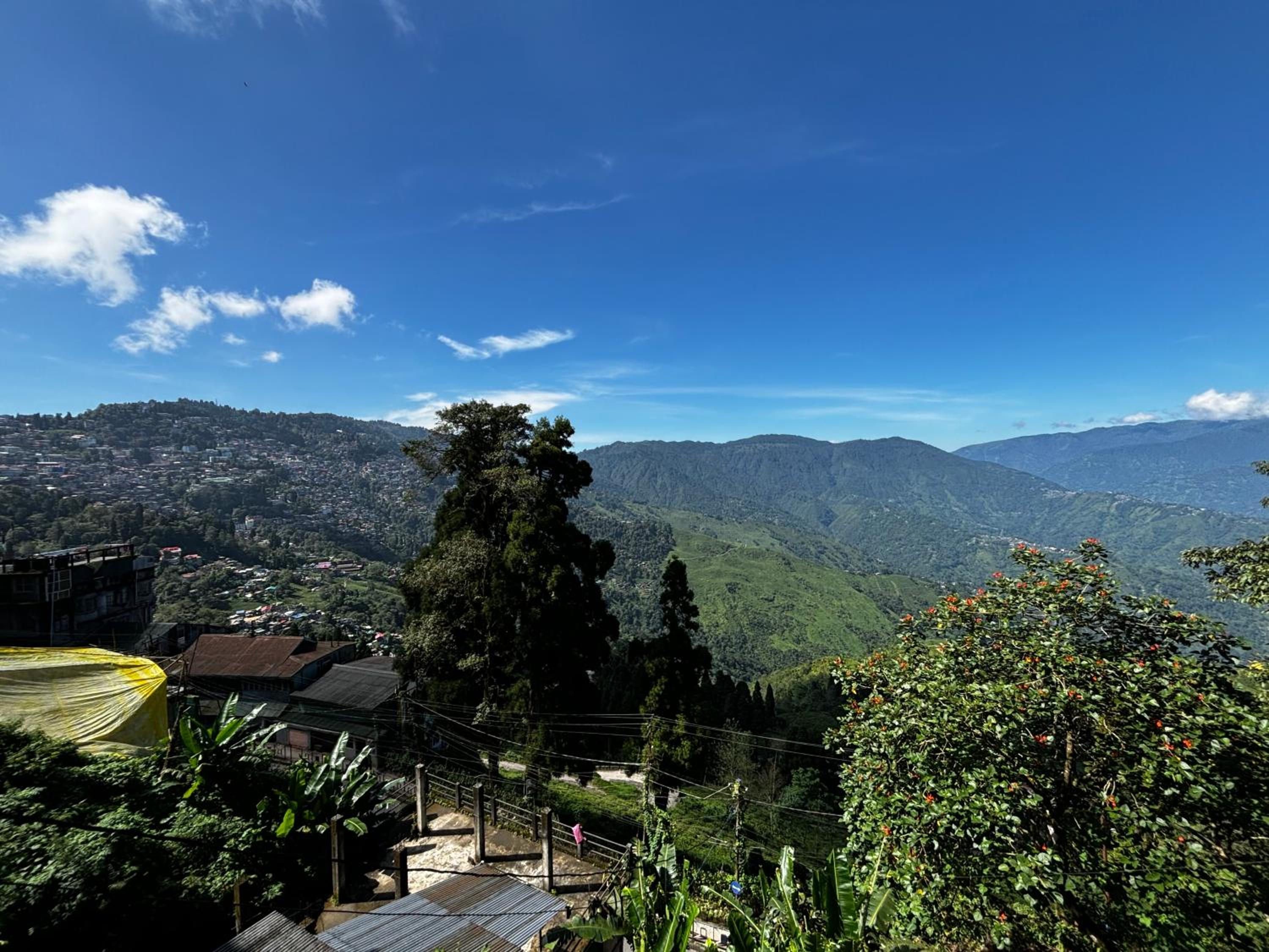 Asraya Homestay