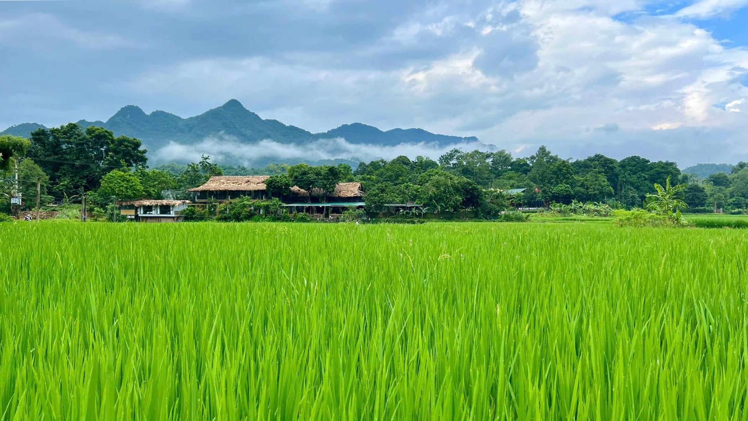 Mai Chau Sky Resort