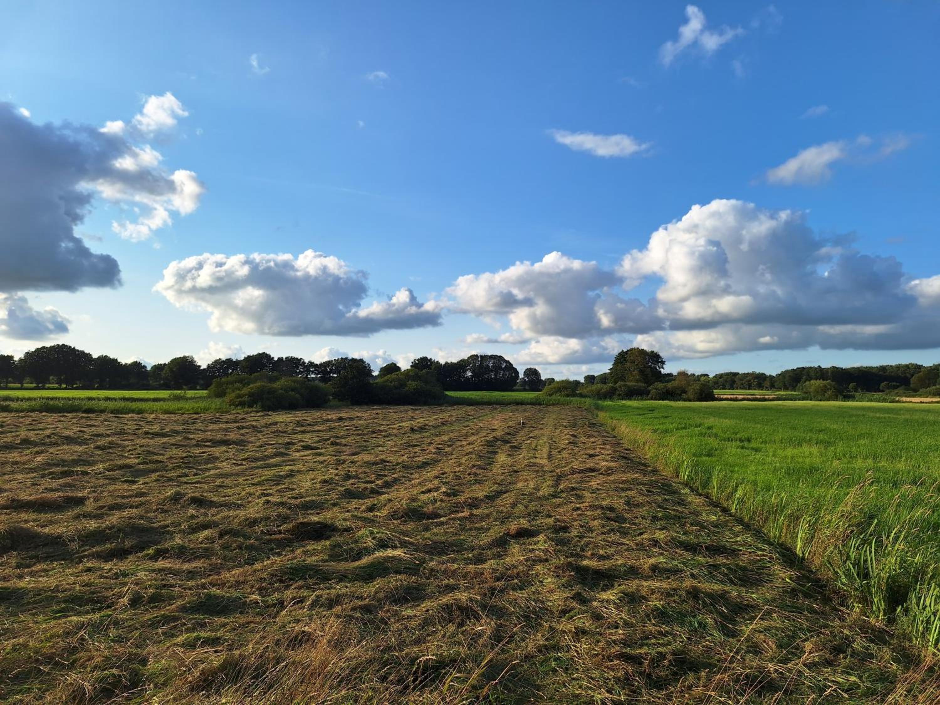 Geest Cottage
