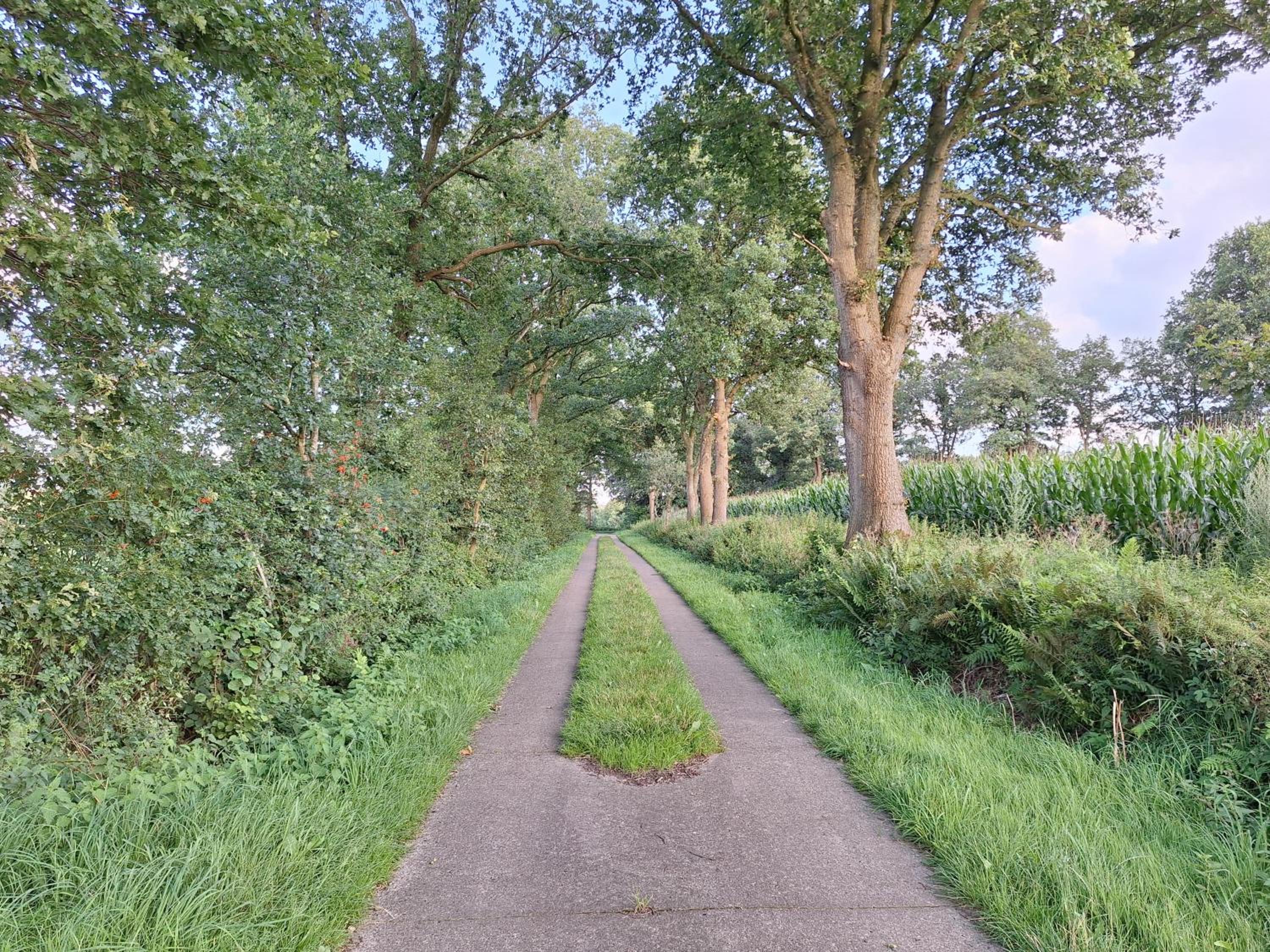 Geest Cottage