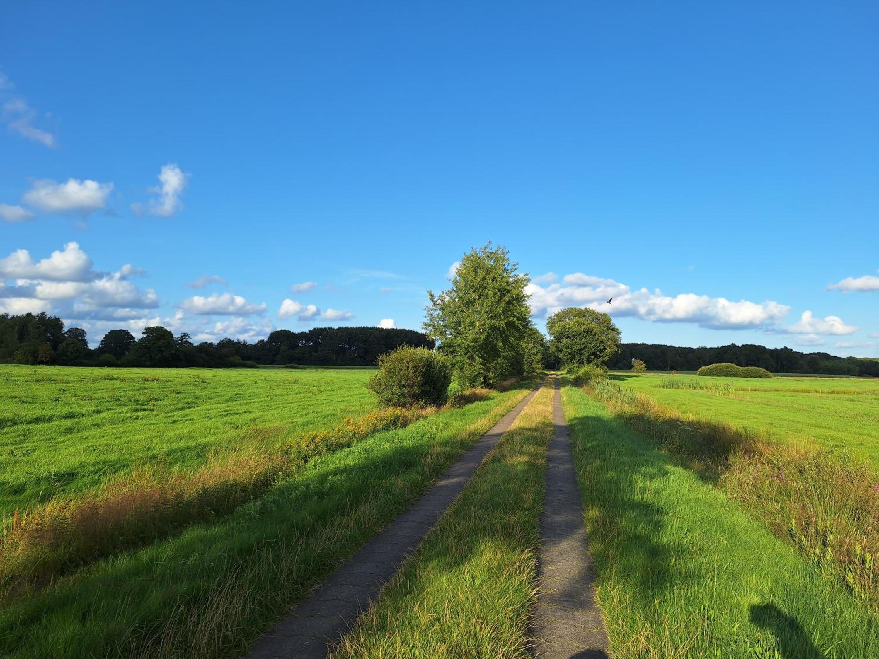Geest Cottage