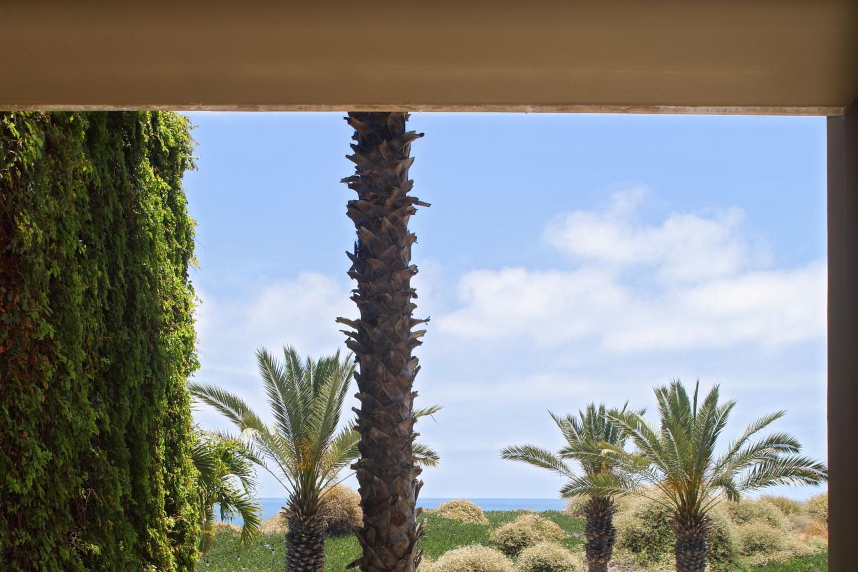 Los Cabos Vacations - JW Marriott Los Cabos Beach Resort  Spa - Property Image 27