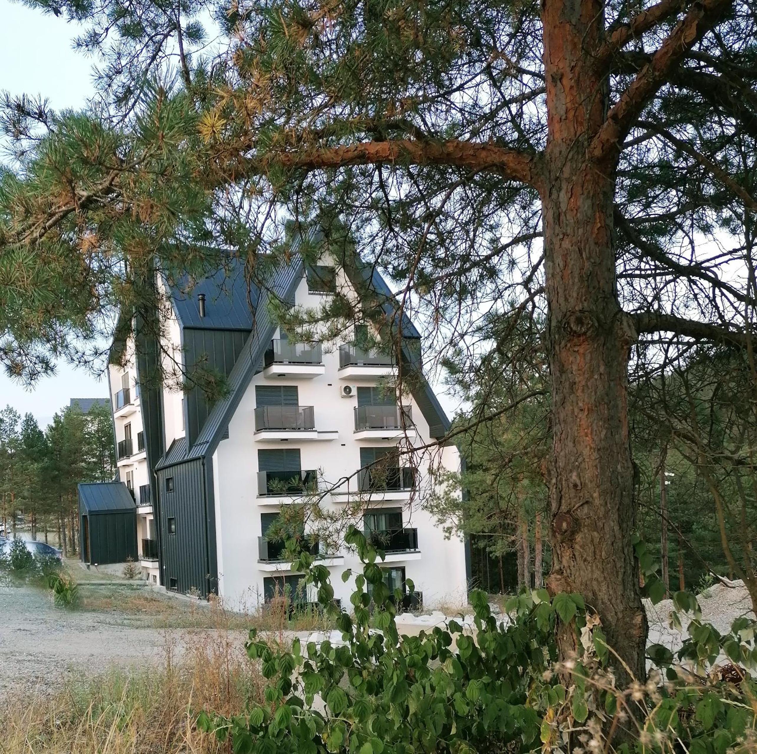 Zmaj apartman - Divčibare view 2