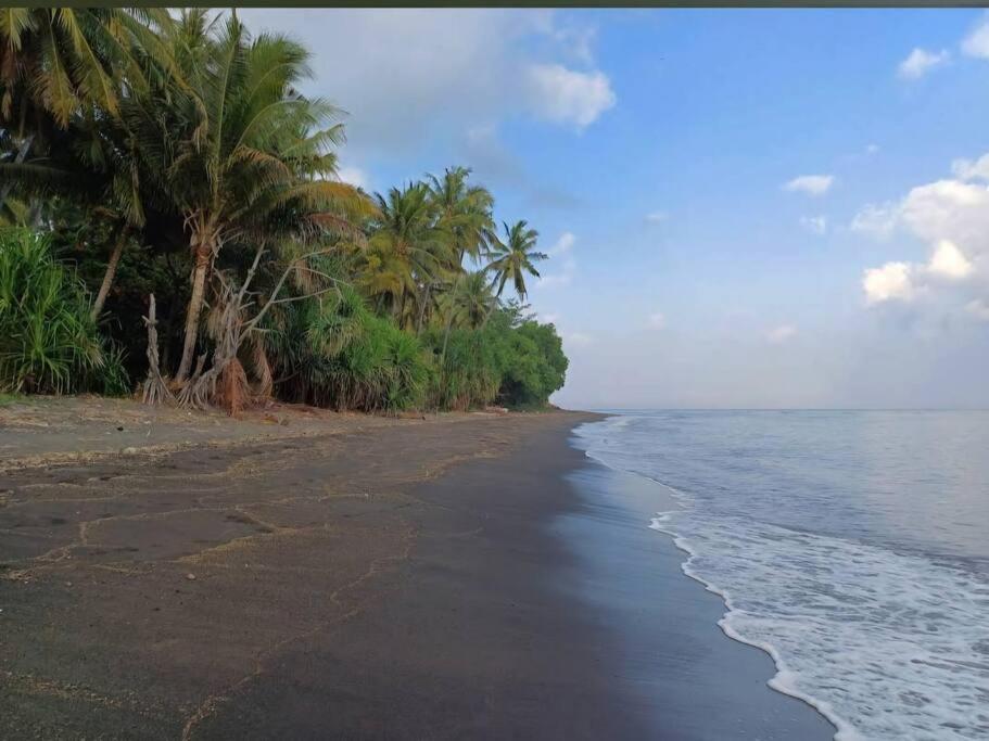 Secret Beach Beachfront Bungalow