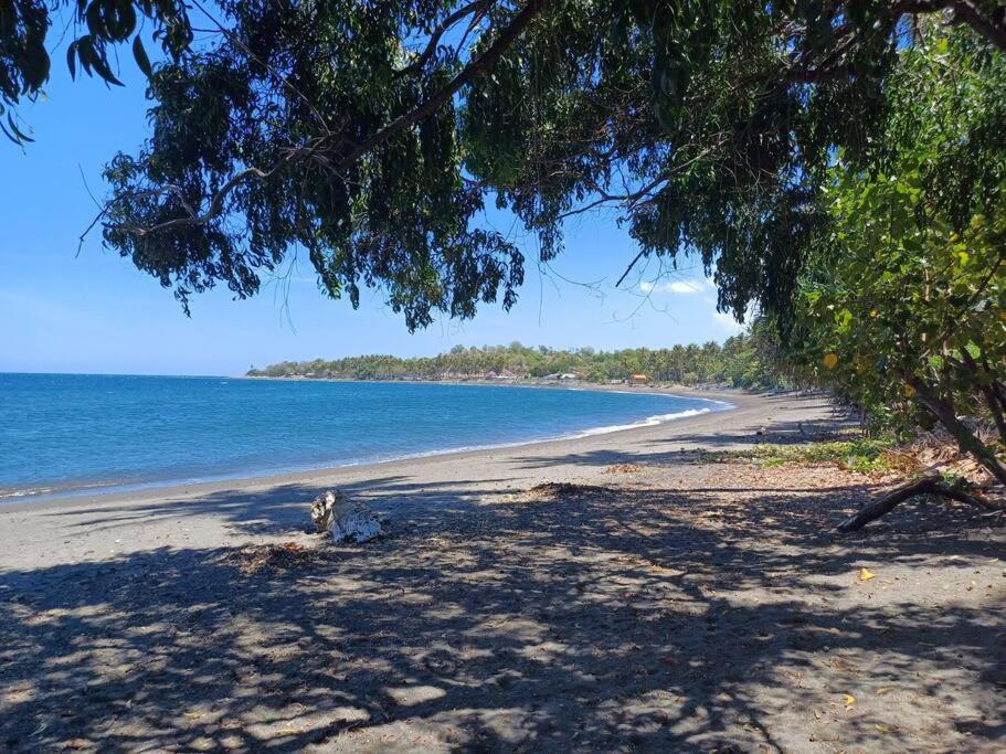 Secret Beach Beachfront Bungalow