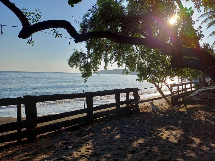 Secret Beach Beachfront Bungalow