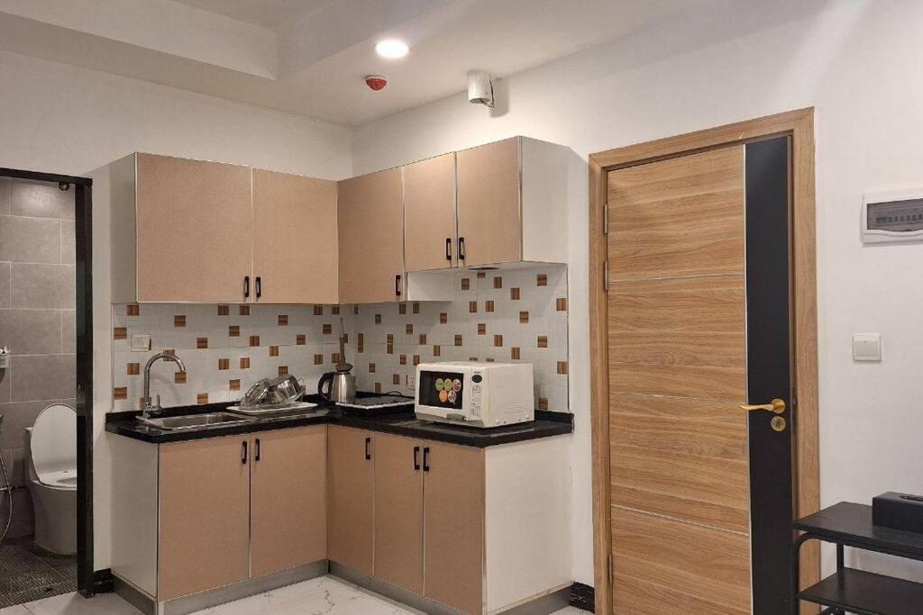 One-BR Apartment for rent view 2