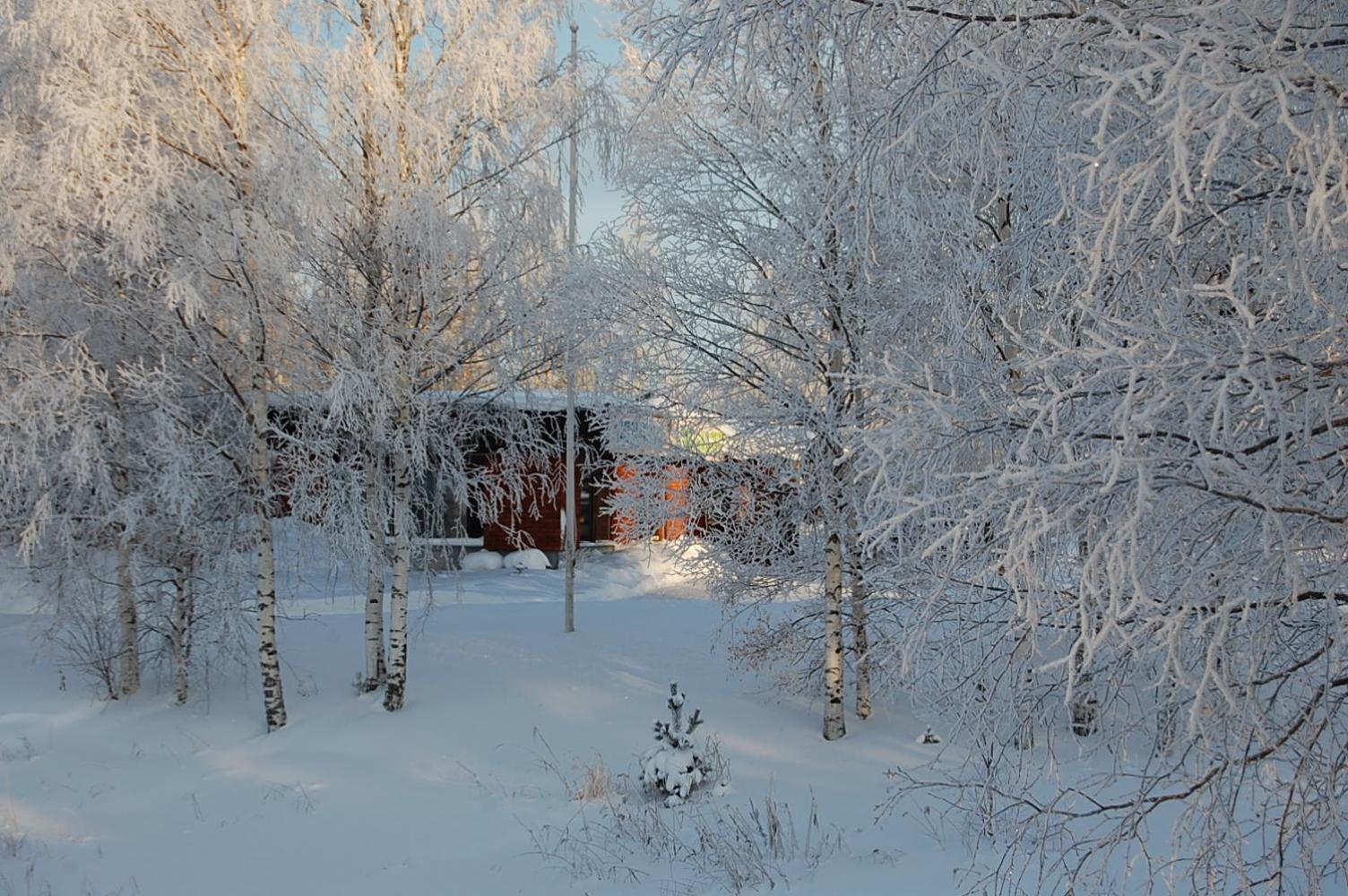Lomasaaret Cottages