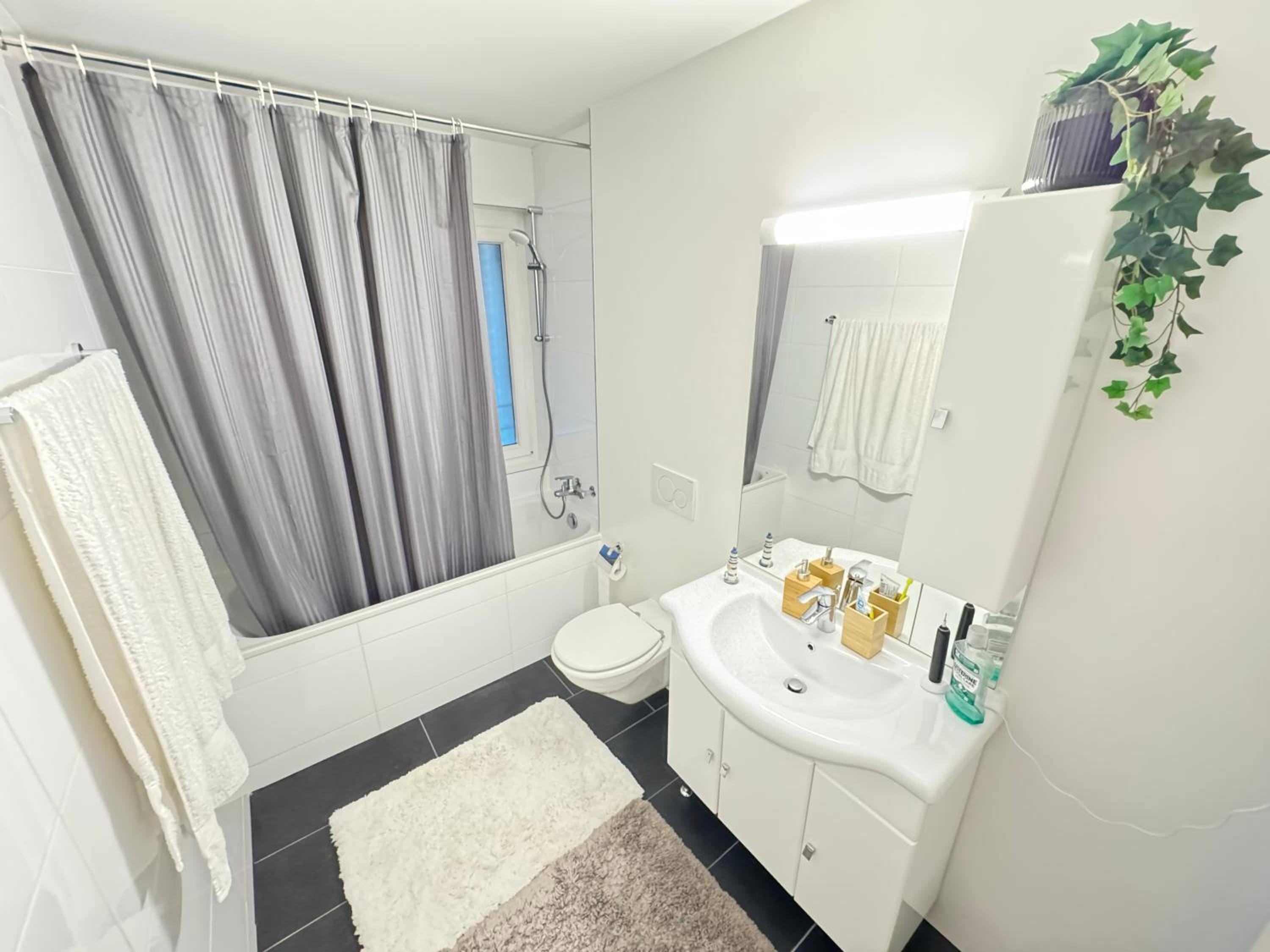 Double Room in Shared Apartment, Zurich Airport