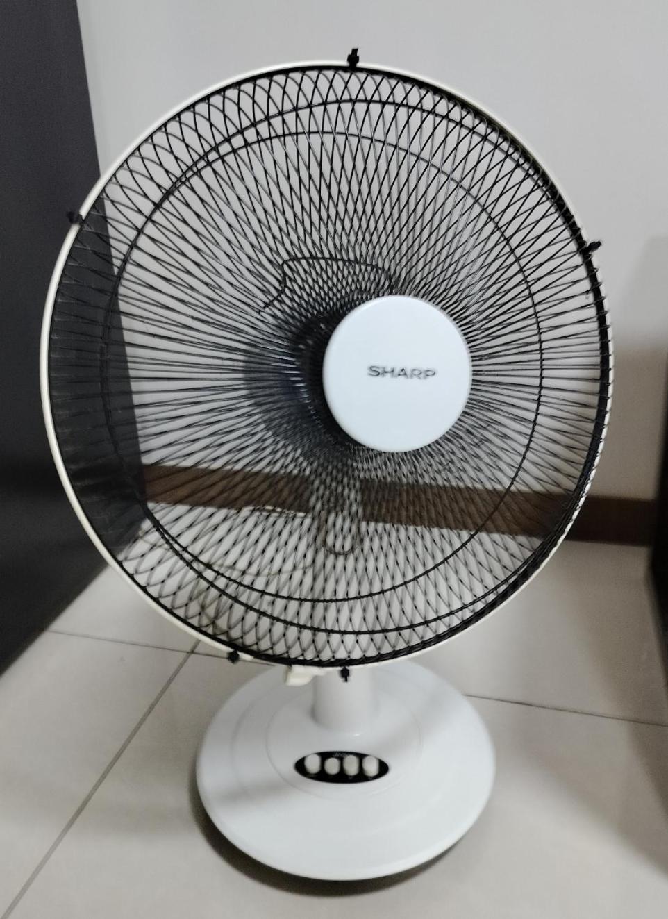 Photo 15