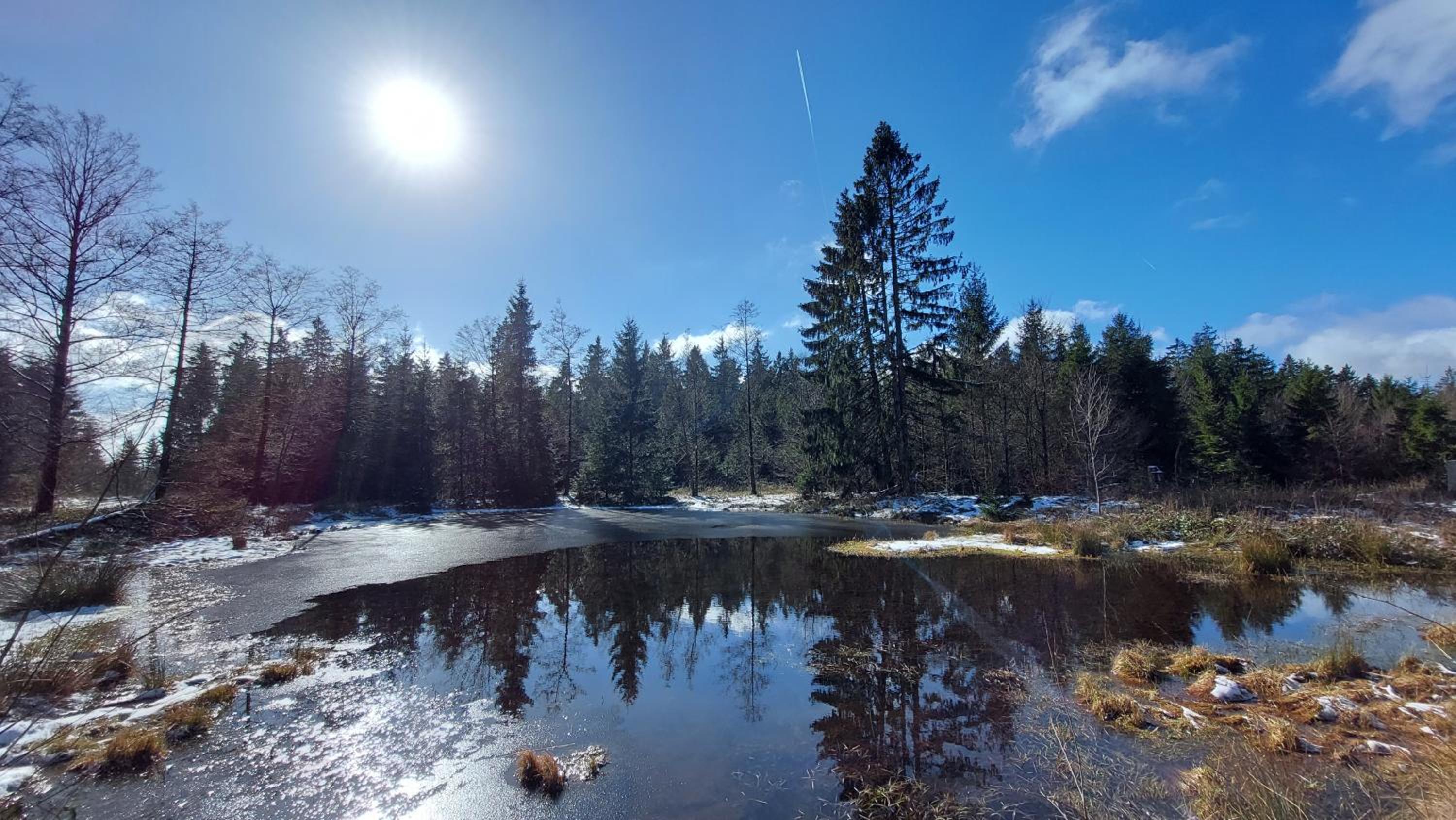 Fewo Silberborn - Weserbergland (Fam. Oehler) - Property Image 16