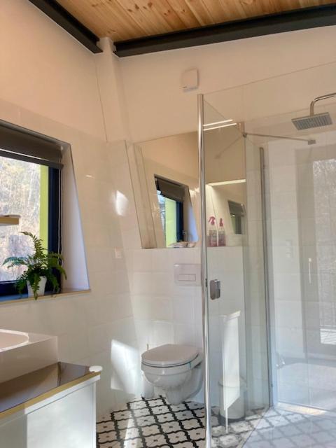 Szalamandra apartman Dömös