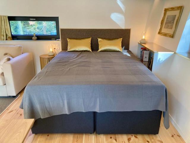 Szalamandra apartman Dömös