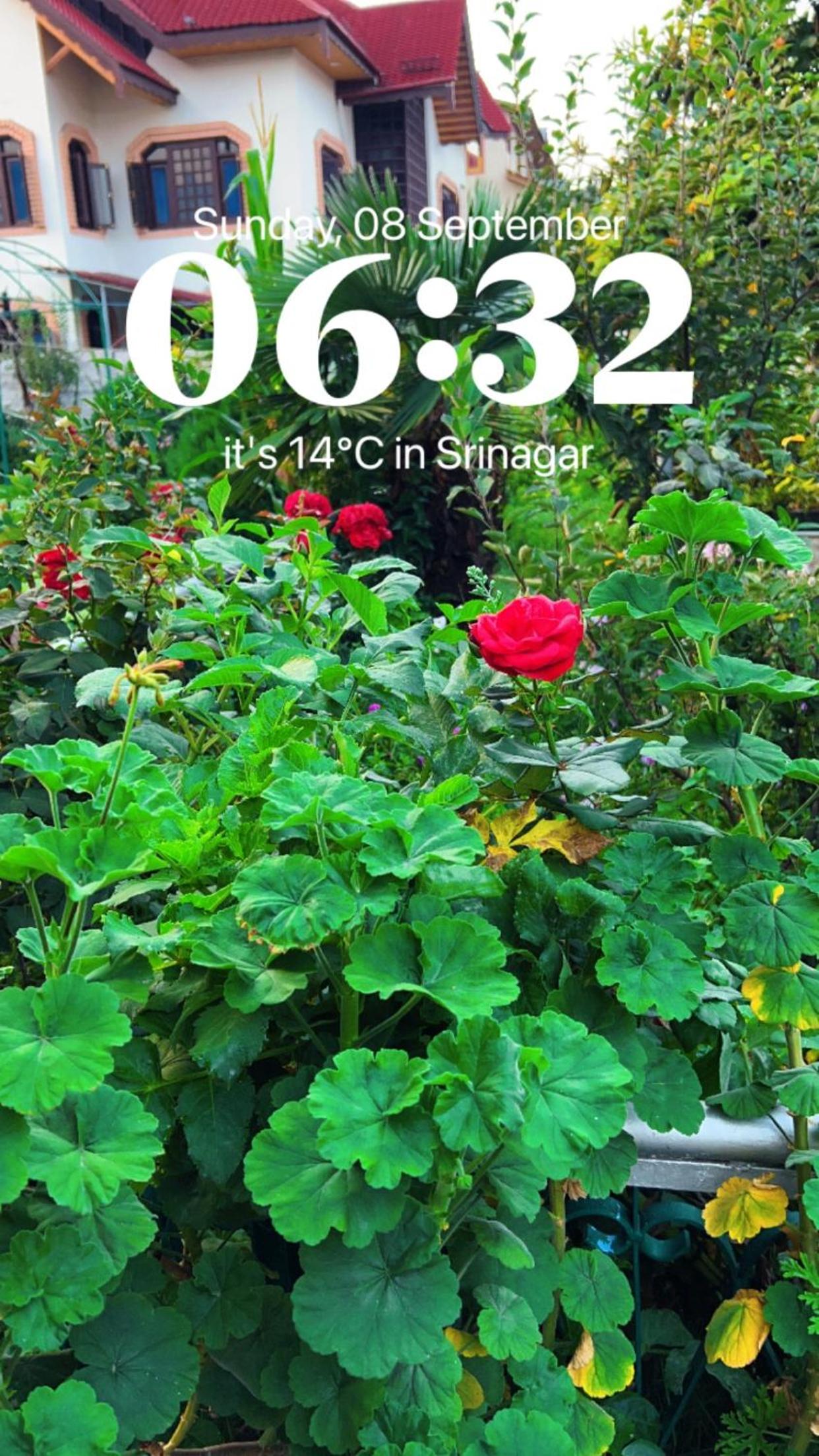 Photo 8