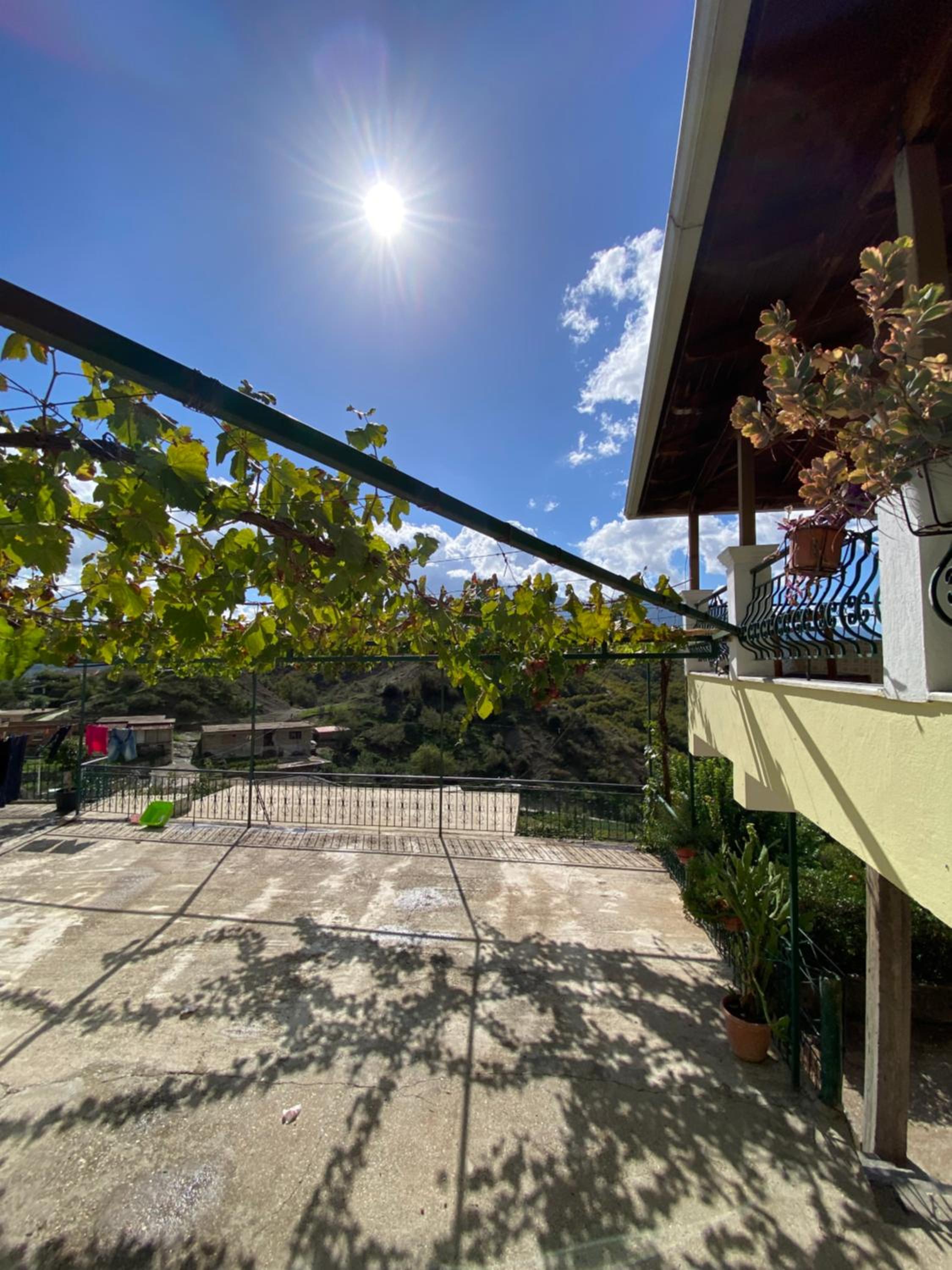 Guest house vasi