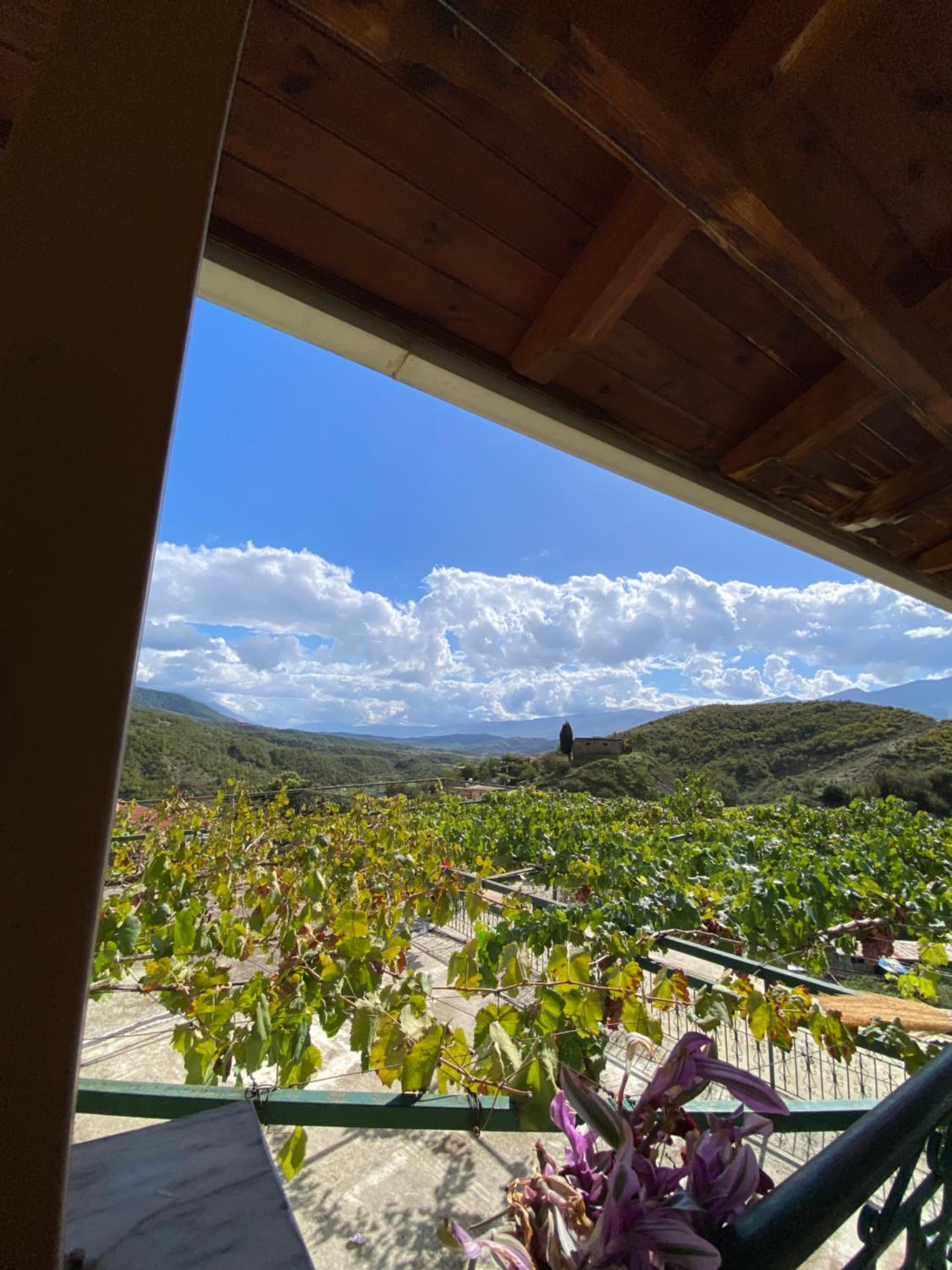 Guest house vasi