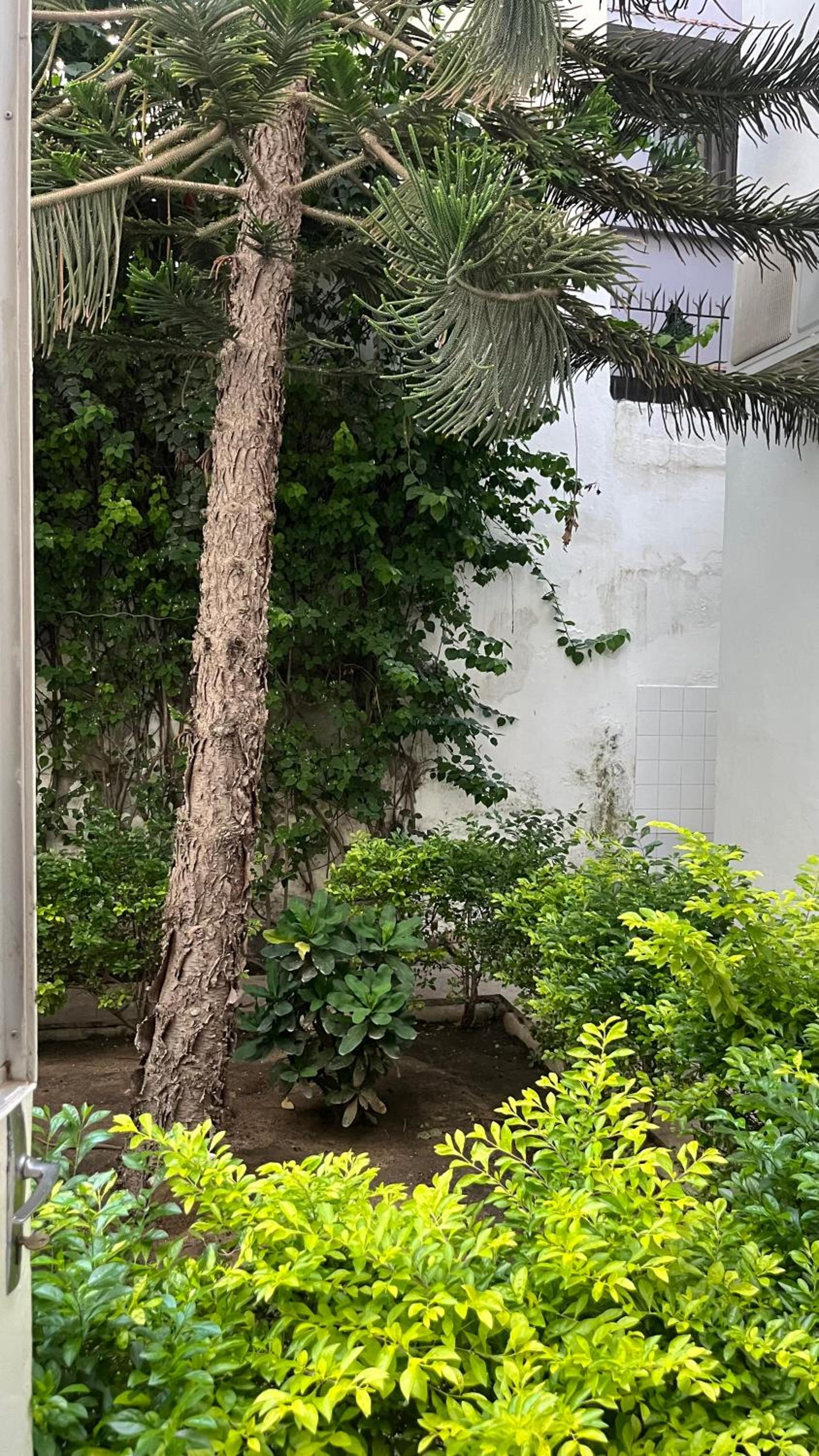 Villa oiseaux view 3